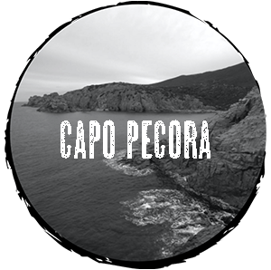 Birra Ichnusa Capo Pecora