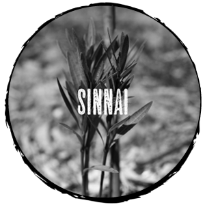 Sinnai - Birra Ichnusa